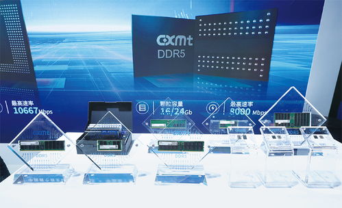 以高水平科技自立自強引領未來產業發展——信息科技的技術開發之路